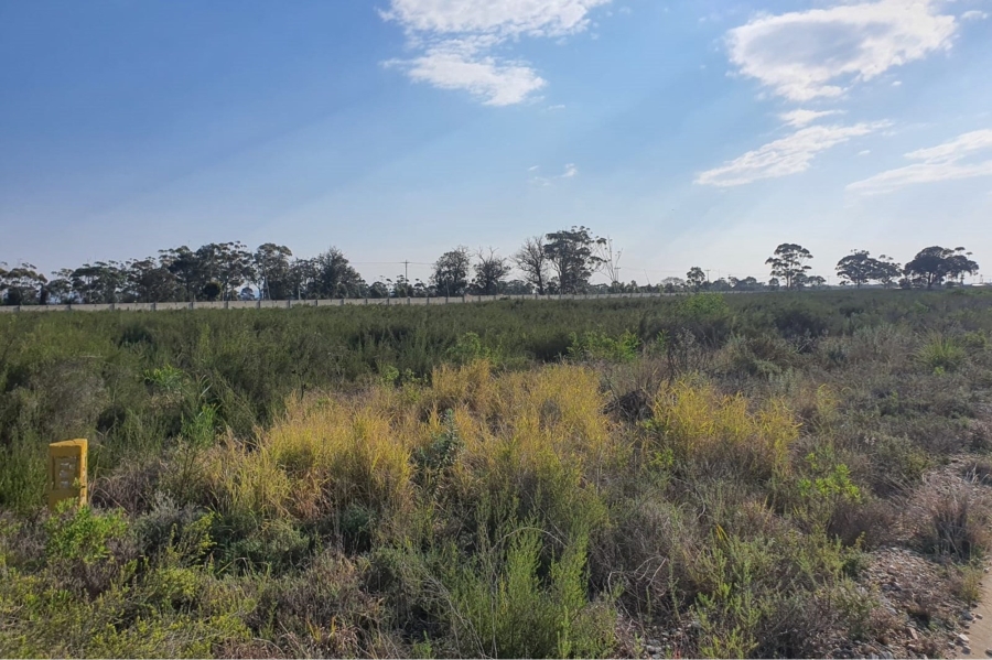 0 Bedroom Property for Sale in Greenbushes Eastern Cape